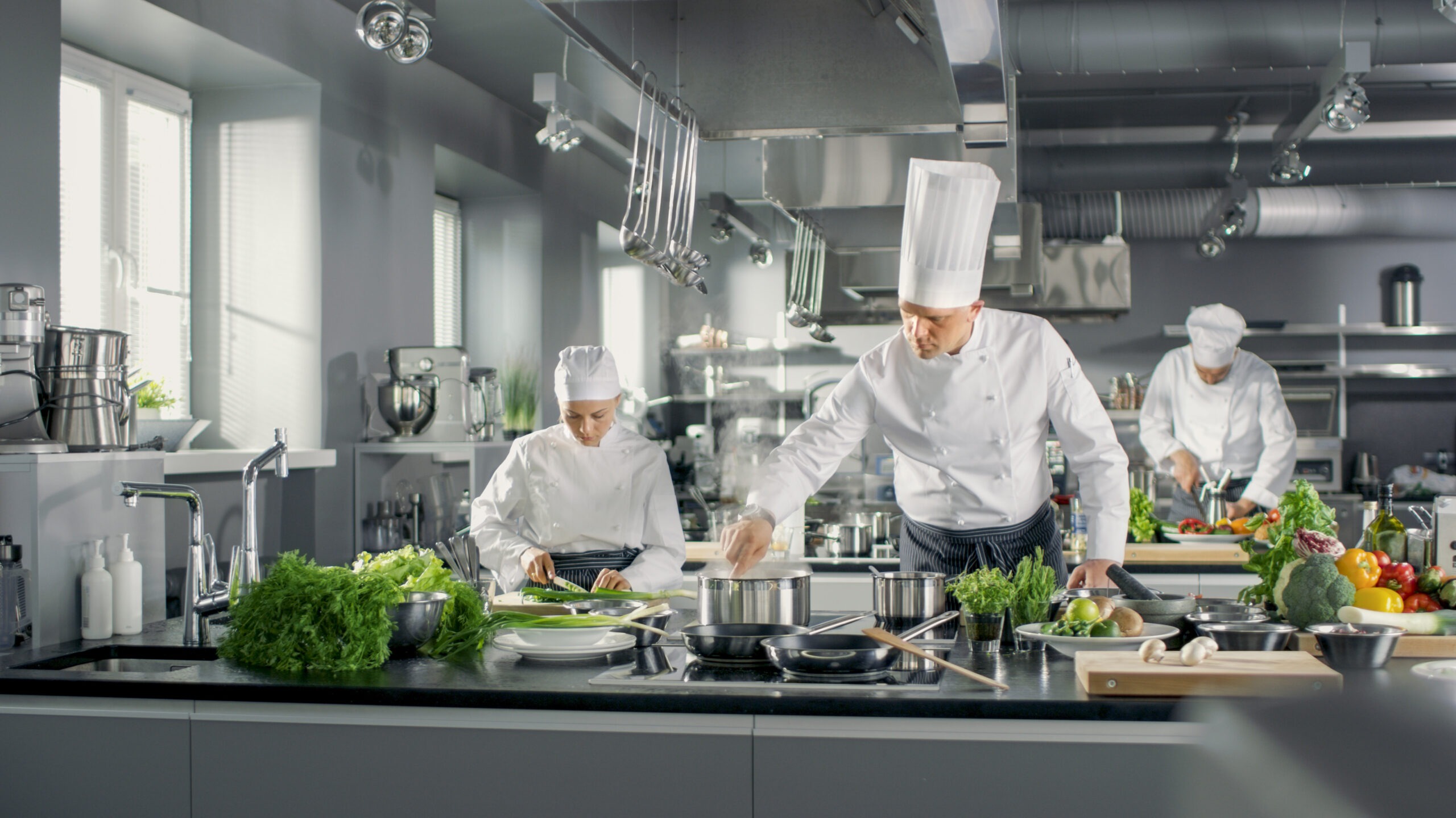 Professional chefs working in commercial kitchen